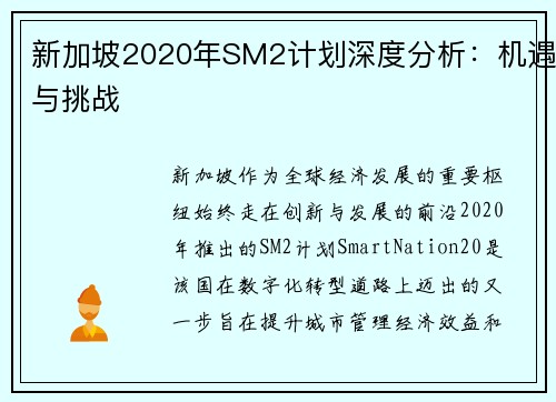 新加坡2020年SM2计划深度分析：机遇与挑战